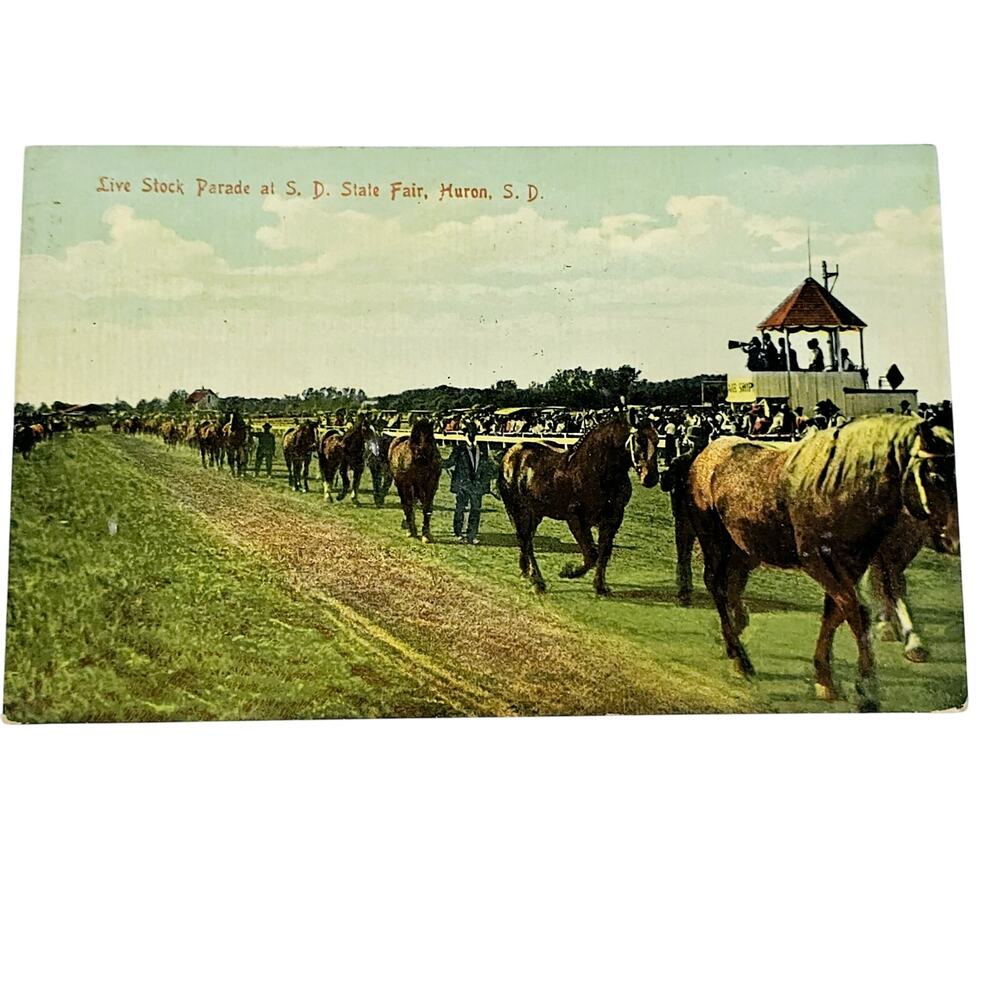 1909 Antique Postcard Live Stock Parade at South Dakota State Fair Huron SD